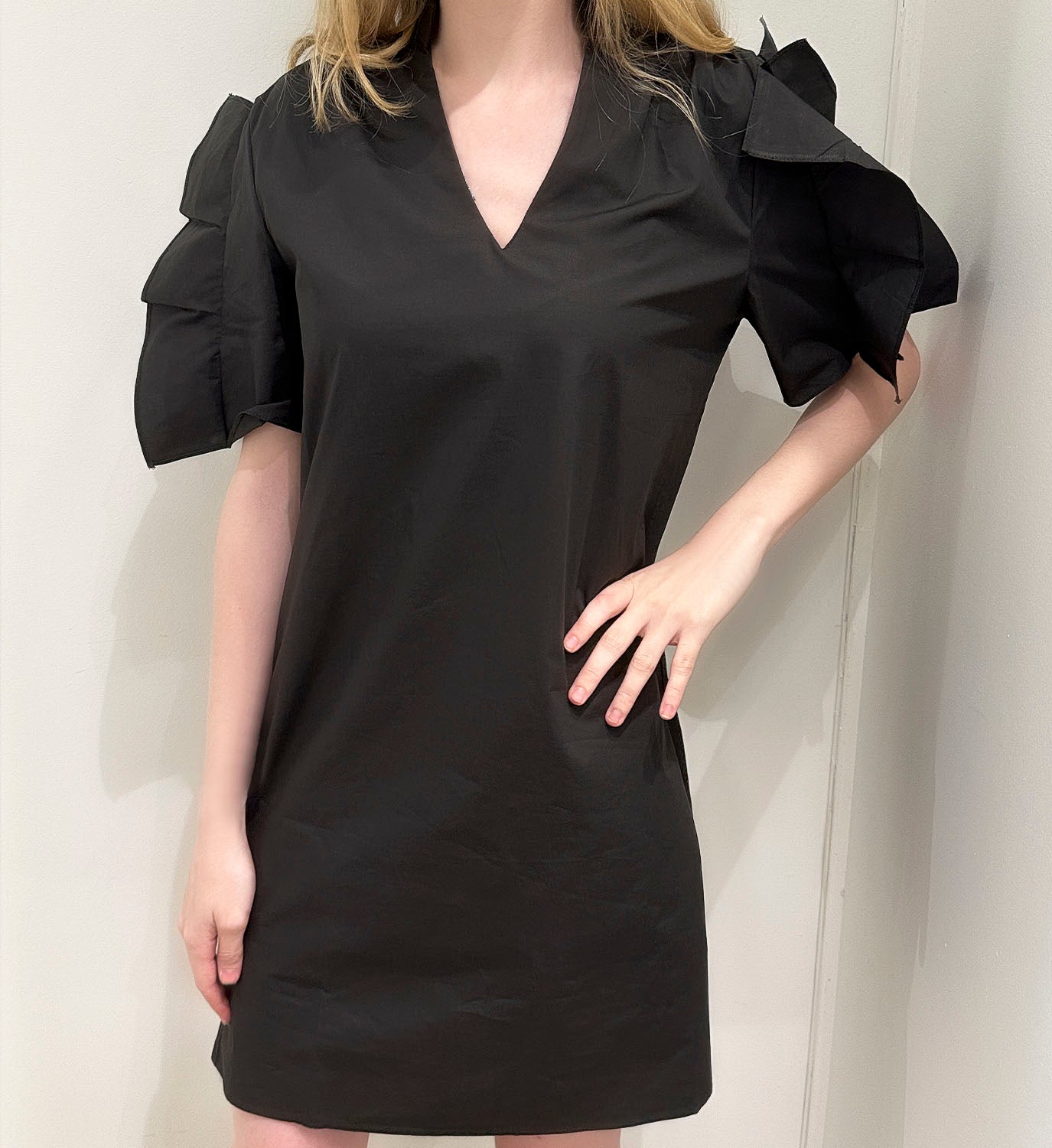 Pleat Sleeve Dress