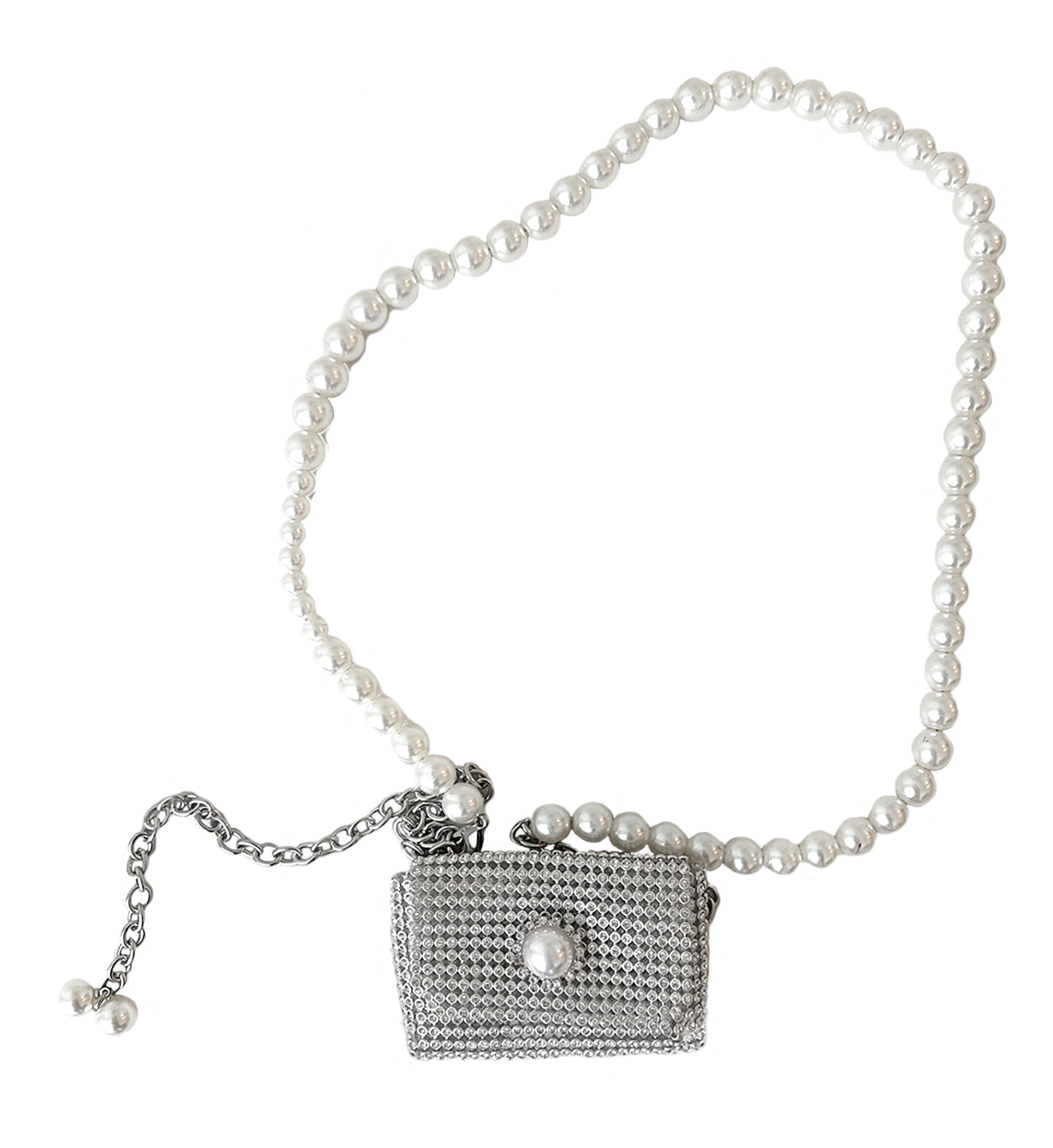 Metal Mesh Pearl Belt / Bag - DIGS